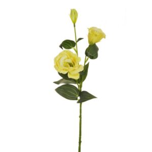 LISIANTHUS STEM X2 CM70 CON BOCCIOLO giallo-chiaro (Cod. 25697-12)
