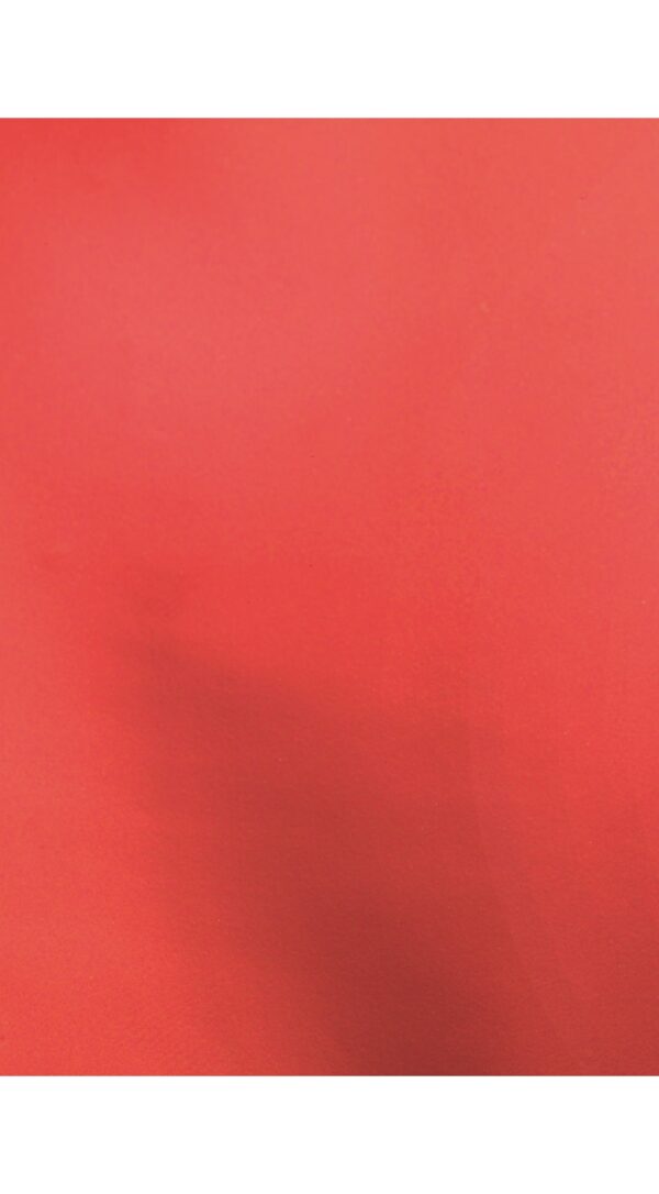BUSTE METALLIZZATE FONDO PIENO CM.16X25 50 PZ rosso (Cod. 15721-03)