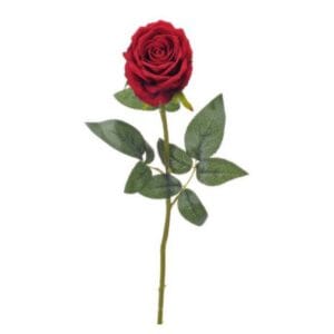 ROSA SINGOLA VELVET  16X74 CM rosso (Cod. 26615-07)
