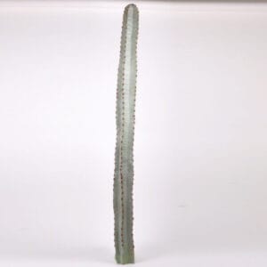 [140] CACTUS 140 CM  (Cod. 32889-01)