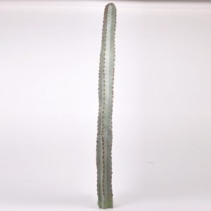 CACTUS 140 CM  (Cod. 32889-01)
