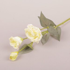 LISIANTHUS STEM X2 CM70 CON BOCCIOLO verde-chiaro (Cod. 25697-03)