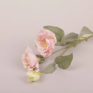 LISIANTHUS STEM X2 CM70 CON BOCCIOLO rosa (Cod. 25697-05)