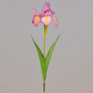 RAMO IRIS CM.63 malva (Cod. 33017-03)