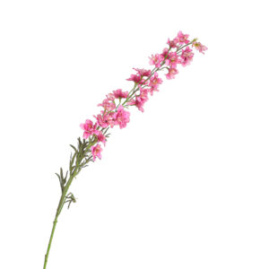 RAMO DELFINIUM X2 CM93 beauty (Cod. 30022-01)