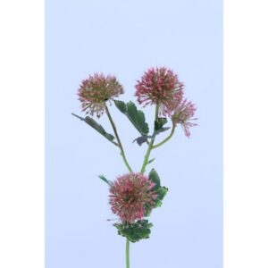 RAMO POM POM CM73 rosa (Cod. 28537-02)