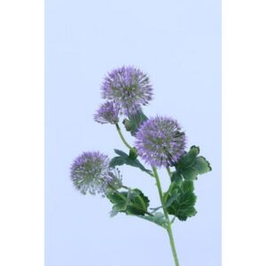 RAMO POM POM CM73 viola (Cod. 28537-03)