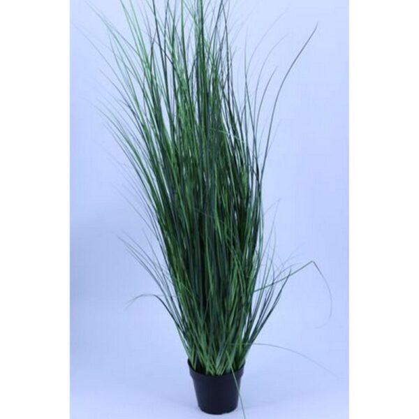 ERBA CIPOLLINA CM 150 CON 451 FILI  (Cod. 28547-01)