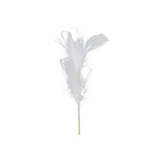 SET 12 PICK PIUME 72 CM  (Cod. 33077-01)