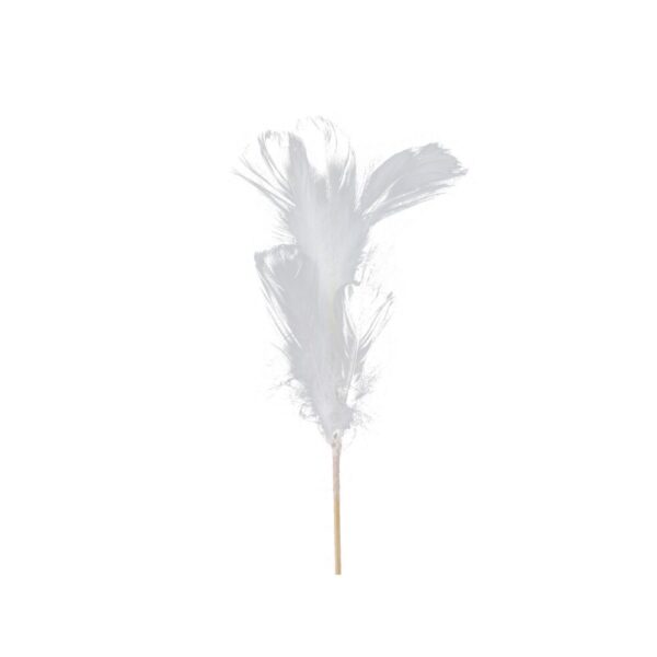SET 12 PICK PIUME 72 CM  (Cod. 33077-01)