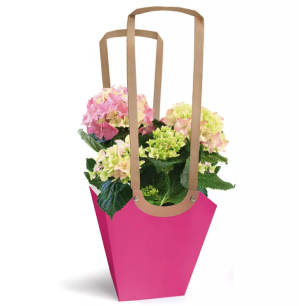 BORSA CARTA AQUA PICCOLA 6,5X10 H13 10PZ fucsia (Cod. 18482-03)