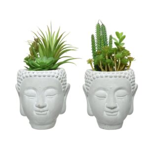 SUCCULENTIA TESTA IN VASO ORIENTE H.23X14X14 CM  (Cod. 33029-01)