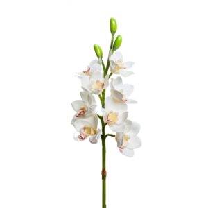 CYMBIDUM 8 FIORI/3 BOCCIOLI CM 77 bianco (Cod. 28560-01)