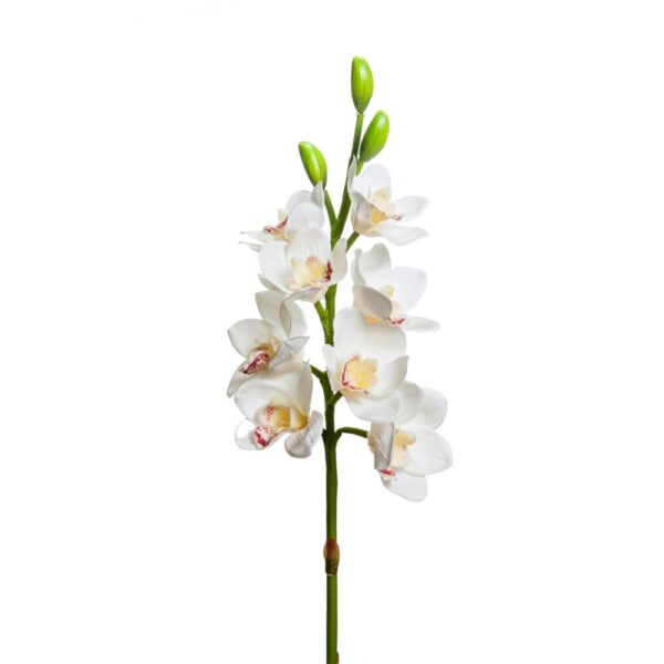 CYMBIDUM 8 FIORI/3 BOCCIOLI CM 77 bianco (Cod. 28560-01)