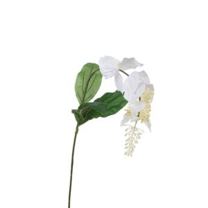 PIANTA MEDINILLA MAGNIFICA CM 62 bianco (Cod. 33231-01)