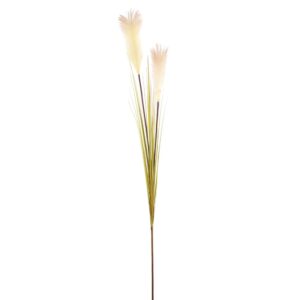 PIANTA TRALCIO PENNISETUM CM 120  (Cod. 33232-01)