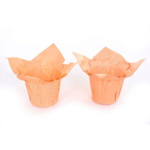 COPRIVASO DI CARTA POIS X VASO D8/9 12PZ. arancio (Cod. 33211-02)