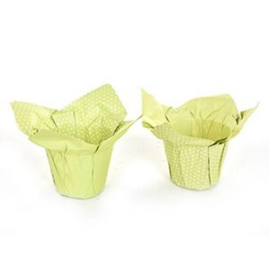 COPRIVASO DI CARTA POIS X VASO D8/9 12PZ. verde (Cod. 33211-04)