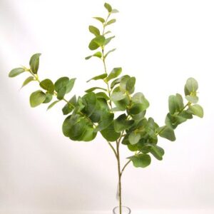 RAMO EUCALYPTUS X4 78 cm  (Cod. 26002-01)
