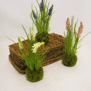 MUSCARI IN ERBA CM 24 rosa (Cod. 33252-03)