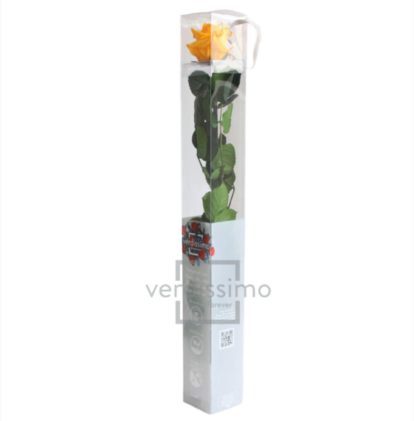 GIFT BOX AMOROSA STANDARD H55 D. TESTA 5-6 CM giallo-caldo (Cod. 9311-04)