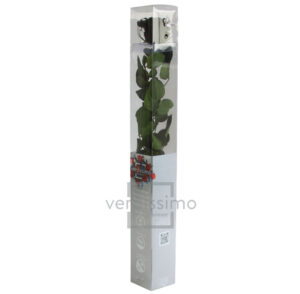 GIFT BOX AMOROSA STANDARD H55 D. TESTA 5-6 CM nero (Cod. 9311-14)
