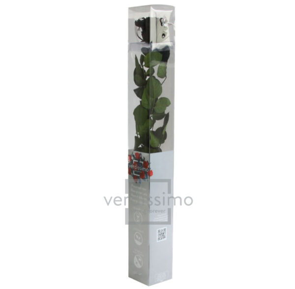 GIFT BOX AMOROSA STANDARD H55 D. TESTA 5-6 CM nero (Cod. 9311-14)