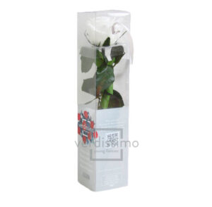 GIFT BOX AMOROSA MINI H27,5 DIAM. TESTA 3,5-4,5 bianco (Cod. 17974-01)
