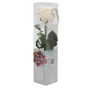 GIFT BOX AMOROSA MINI H27,5 DIAM. TESTA 3,5-4,5 champagne (Cod. 17974-02)
