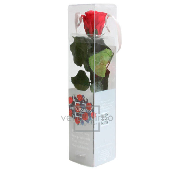 GIFT BOX AMOROSA MINI H27,5 DIAM. TESTA 3,5-4,5 rosso (Cod. 17974-03)