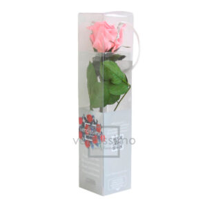 GIFT BOX AMOROSA MINI H27,5 DIAM. TESTA 3,5-4,5 rosa-pastello (Cod. 17974-05)