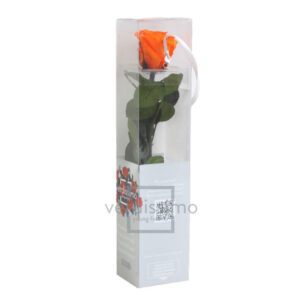 GIFT BOX AMOROSA MINI H27,5 DIAM. TESTA 3,5-4,5 arancio (Cod. 17974-08)