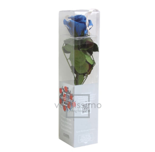 GIFT BOX AMOROSA MINI H27,5 DIAM. TESTA 3,5-4,5 blu (Cod. 17974-10)