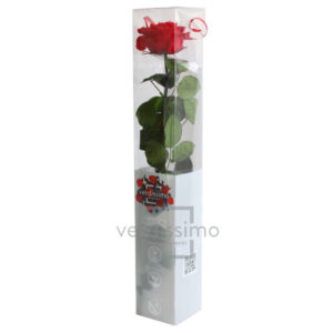GIFT BOX AMOROSA PREMIUM H55 D. TESTA 6,5-8,5 CM rosso (Cod. 24383-03)