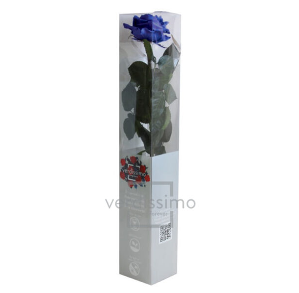 GIFT BOX AMOROSA PREMIUM H55 D. TESTA 6,5-8,5 CM blu (Cod. 24383-04)