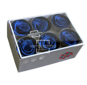 BOX TESTE DI ROSA D 6-6,5CM STABILIZ. PZ.6 blu-scuro (Cod. 8330-14)