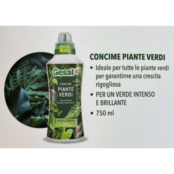 CONCIME LIQUIDO GESAL PIANTE VERDI 750 ML  (Cod. 33352-01)