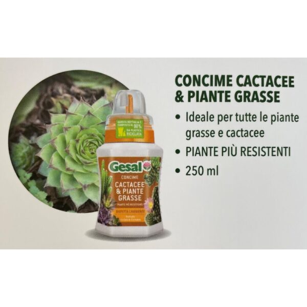 CONCIME LIQUIDO GESAL PIANTE GRASSE 250 ML  (Cod. 33354-01)
