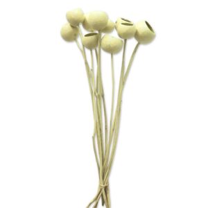 BALLERINA MEDIA C/GAMBO NATURALE PZ 10  (Cod. 9156-01)
