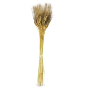 GRANO CON BAFFO GR.400 nero (Cod. 6093-01)