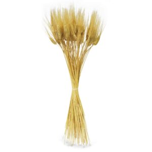 GRANO CON BAFFO GR.400 biondo-naturale (Cod. 6093-02)