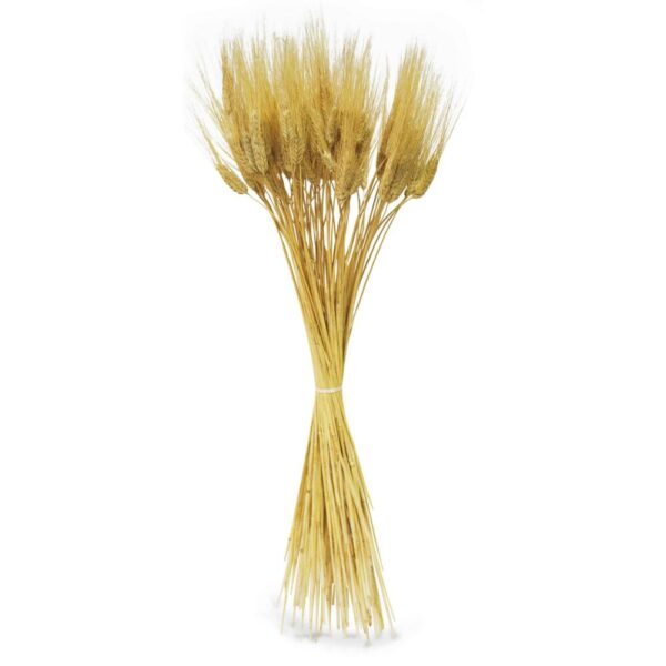 GRANO CON BAFFO GR.400 biondo-naturale (Cod. 6093-02)