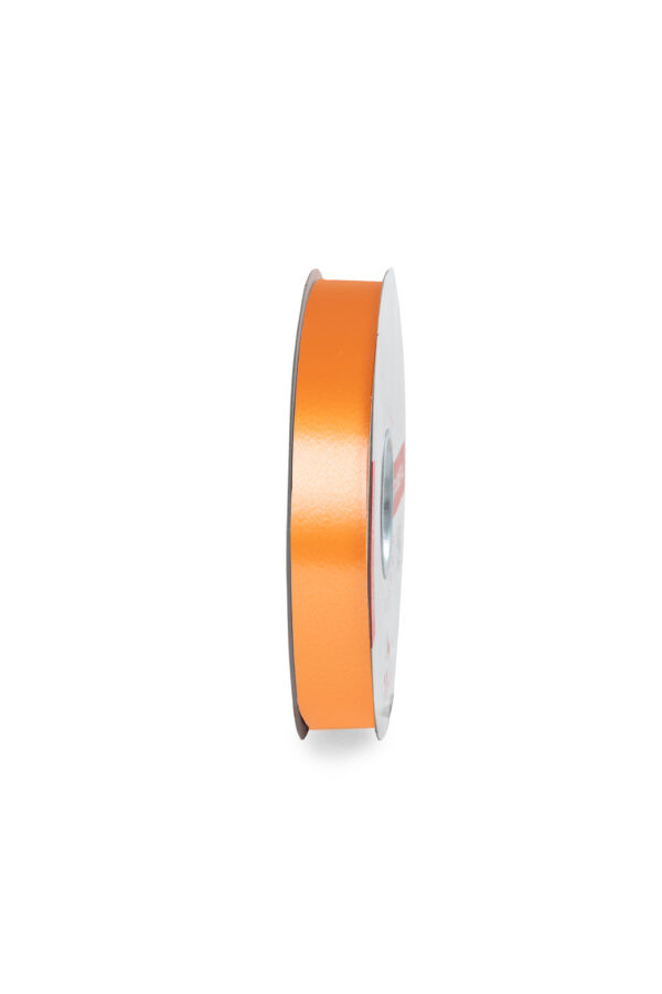 NASTRO LISCIO MM.19 MT.100 arancio-116 (Cod. 1035-02)