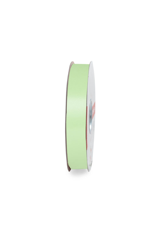 NASTRO LISCIO MM.19 MT.100 verde-chiaro-164 (Cod. 1035-06)