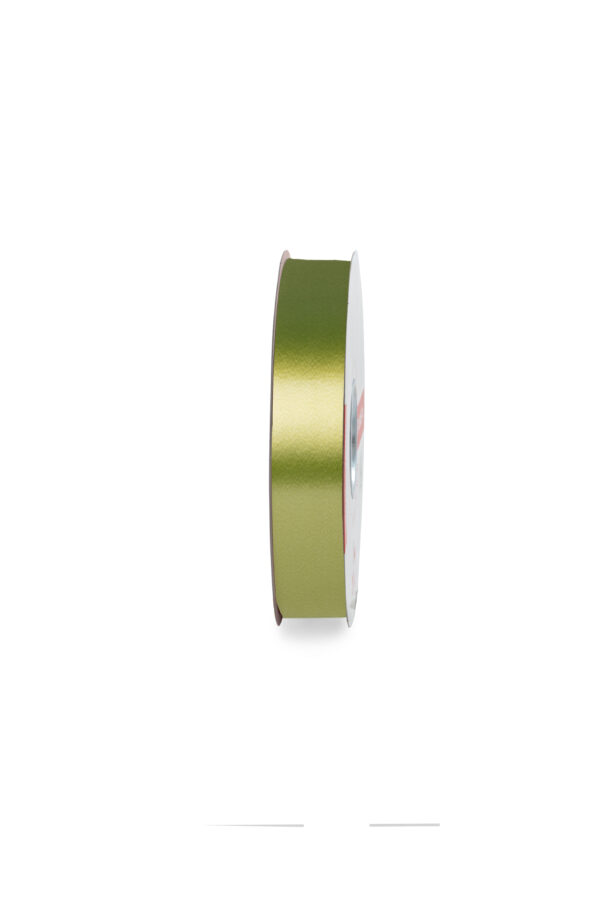 NASTRO LISCIO MM.19 MT.100 verdone-41 (Cod. 1035-08)