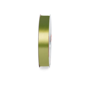 NASTRO LISCIO MM.19 MT.100 verdone-41 (Cod. 1035-08)