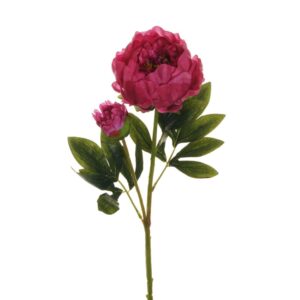 PEONIA RAMO X2 1 FIORE E 1 BOCCIOLO APERTO 66CM fucsia (Cod. 25470-01)