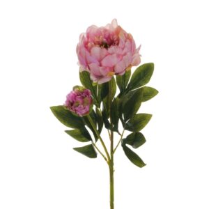 PEONIA RAMO X2 1 FIORE E 1 BOCCIOLO APERTO 66CM malva-verde (Cod. 25470-02)