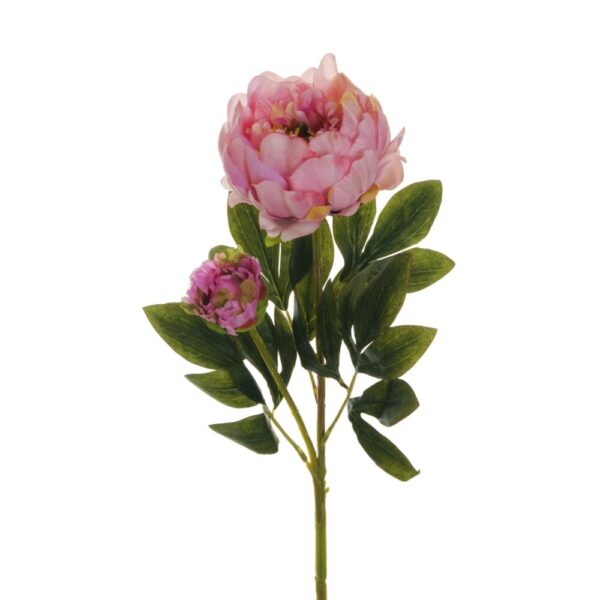 PEONIA RAMO X2 1 FIORE E 1 BOCCIOLO APERTO 66CM malva-verde (Cod. 25470-02)