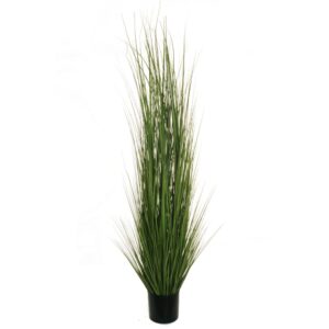 PIANTA ERBA CIPOLLINA IN VASO D20 h180  (Cod. 30054-01)